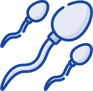 An icon representing natural movement support for men’s reproductive health and fertility improvement through the Aviva Method.