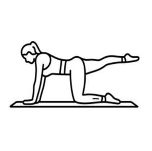 Core muscle activation and stabilization exercises strengthening abdominal, oblique, and lower back muscles to support posture and movement control.