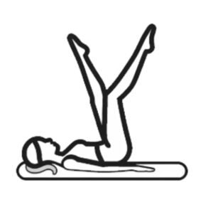 icon bodyweight muscle control exercises aviva method