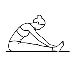 oga inspired fascia and organ stimulation exercises supporting circulation and tissue mobility of the Aviva Method.