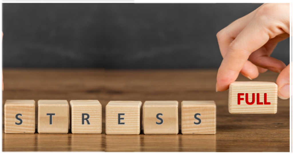 Aviva Method practice supporting stress relief, mind–body balance, and gentle recovery through exercises and guided relaxation.