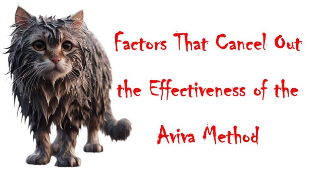 A wet cat simbolizing effects and habits that can cancell the supporting effect of the Aviva Method women exercise