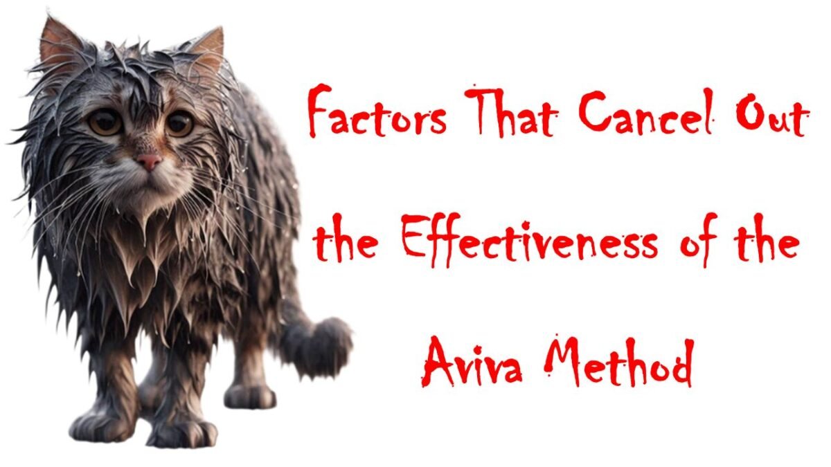 A wet cat simbolizing effects and habits that can cancell the supporting effect of the Aviva Method women exercise