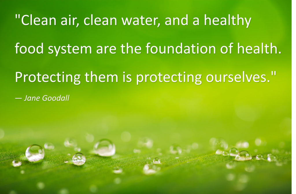 Inspirational quote about clean air, water, and healthy food systems as the foundation of health, promoting holistic wellbeing, environmental awareness, and natural balance.