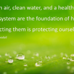 Inspirational quote about clean air, water, and healthy food systems as the foundation of health, promoting holistic wellbeing, environmental awareness, and natural balance.