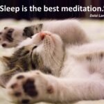 Minimalist wellness quote about sleep and meditation, promoting deep rest, nervous system healing, hormonal balance, and relaxation.
