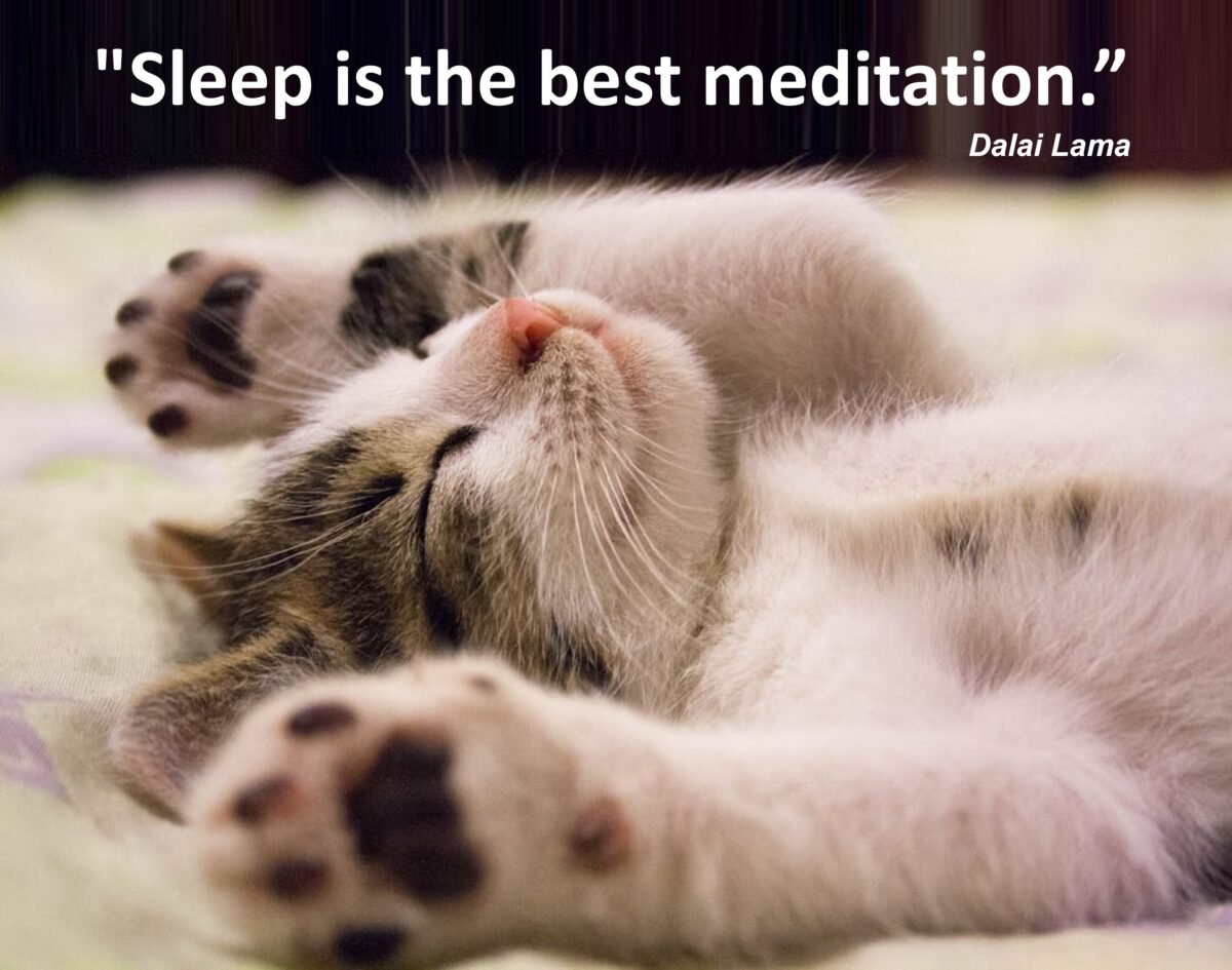 Minimalist wellness quote about sleep and meditation, promoting deep rest, nervous system healing, hormonal balance, and relaxation.