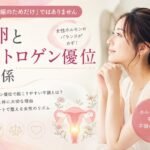 排卵とエストロゲン優位の関係について解説する女性ホルモンバランスのブログサムネイル。アヴィヴァ・メソッドによるやさしい排卵サポートをイメージしたデザイン。